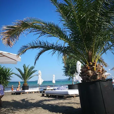 Holiday With Terrace *